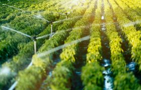 Farms & irrigation networks